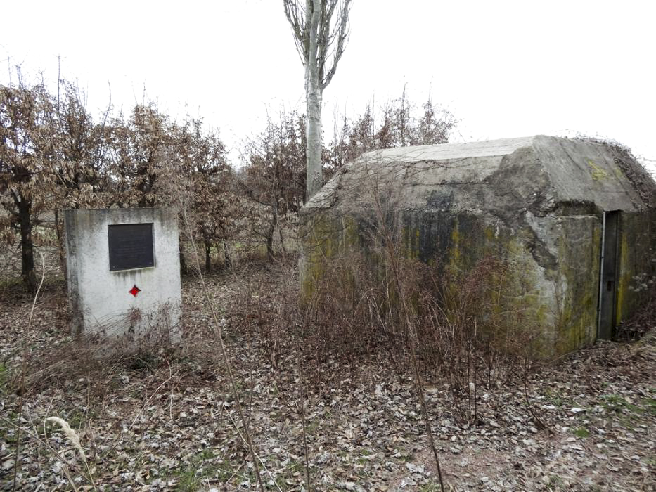 Ligne Maginot - H8 - BALTZENHEIM SUD EST - (Blockhaus pour arme infanterie) - 