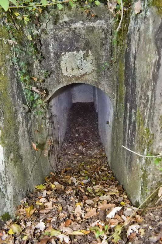 Ligne Maginot - BOIS DE DESSENHEIM EST 2 - (Blockhaus pour arme infanterie) - L'entrée