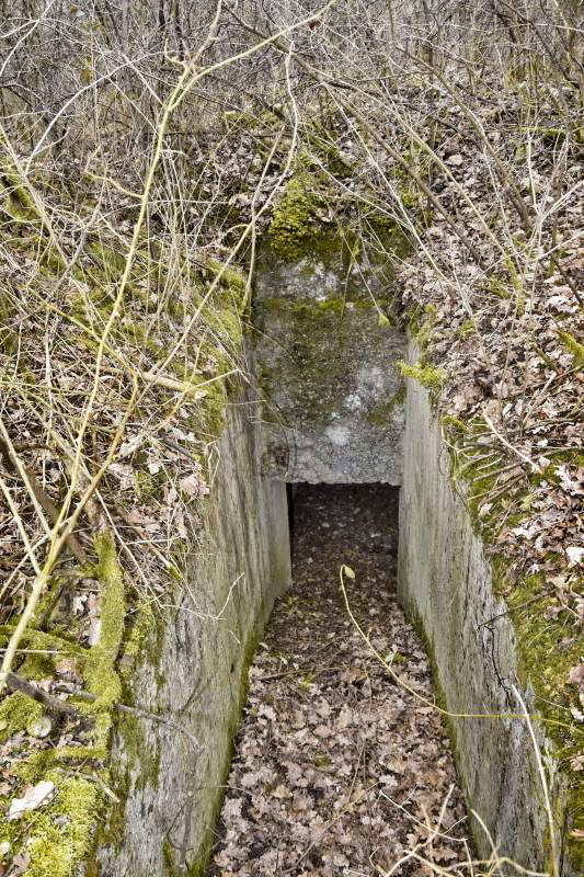 Ligne Maginot - BOIS DE DESSENHEIM SUD 10 - (PC) - Second abri : entrée nord et la tranchée