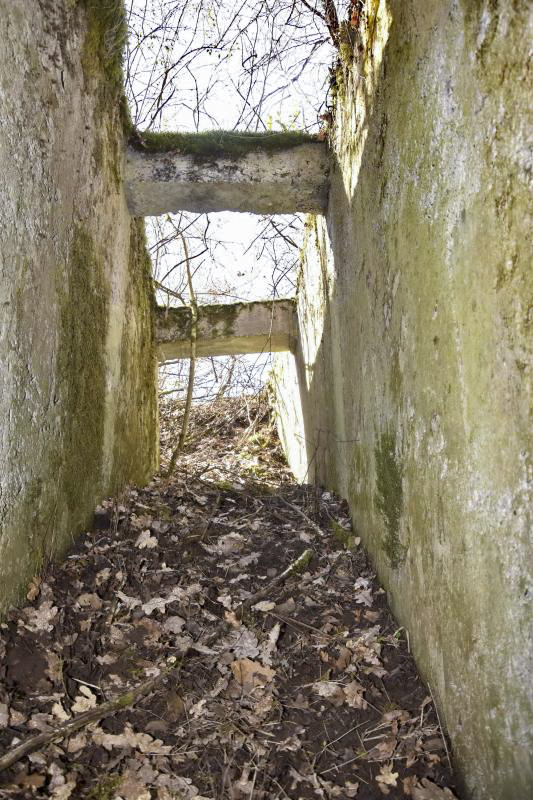 Ligne Maginot - BOIS DE DESSENHEIM SUD 10 - (PC) - Second abri : entrée sud et la tranchée vue du dessous