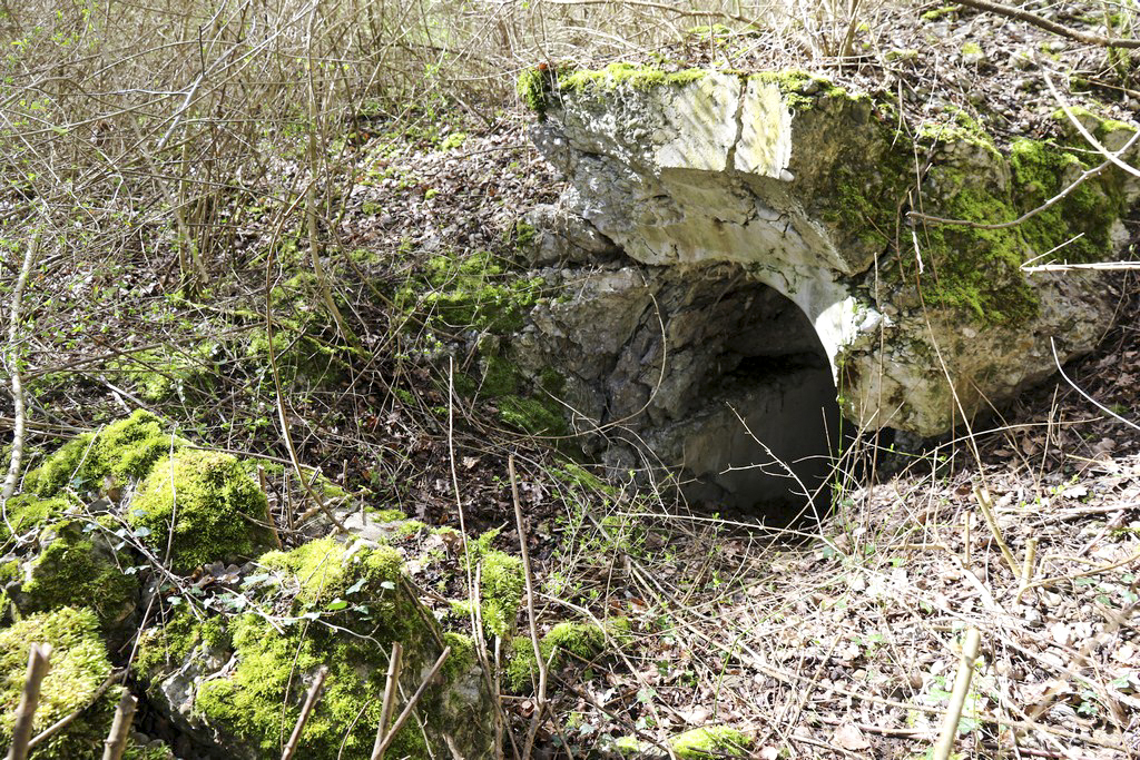Ligne Maginot - WOLFGANTZEN NORD OUEST 3 - (Blockhaus pour arme infanterie) - Les restes de la coupole