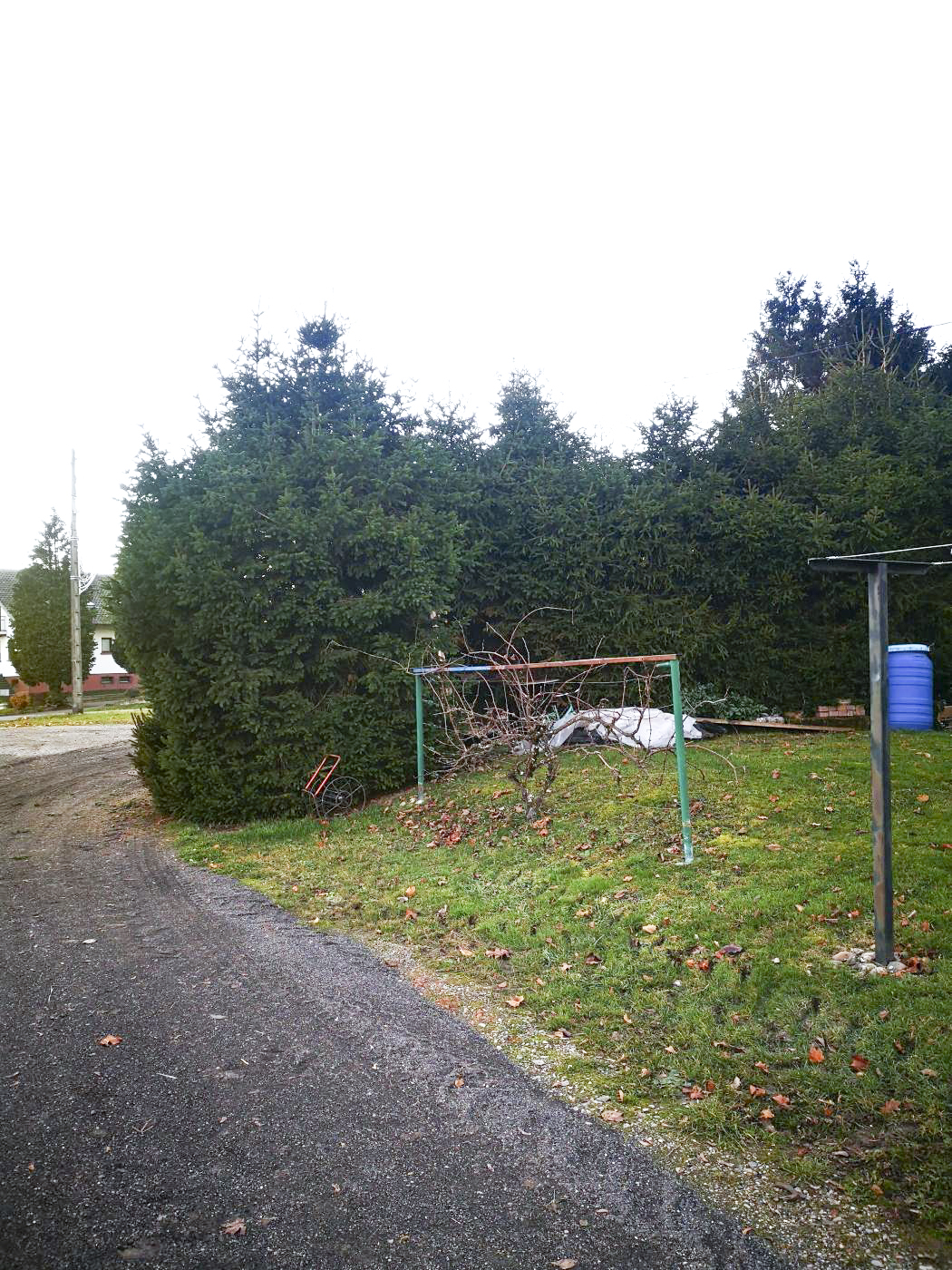 Ligne Maginot - W1 - (Chambre de coupure) - La chambre de coupure se trouvait juste derrière la haie. 
Elle a aujourd'hui disparu, ensevelie. Elle se trouve au bout d'un jardin, dans une propriété privée.
Photo faite avec l'autorisation de la propriétaire.
