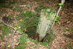 Ligne Maginot - BILLIG - A18 - (Ouvrage d'artillerie) - Bloc 6
Puits emmuré à proximité du bloc aves les restes d'un tronc d'arbre (identique, en plus petit de ceux, qu'on trouve à proximité de l'EM de Molvange)