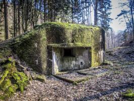 Ligne Maginot - SAEGEMUHLE - (Blockhaus pour arme infanterie) - Chambre de tir Ouest, avec ses volets de camouflage au sol