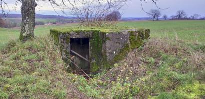 Ligne Maginot - KINZELBACH OUEST 2 - (Blockhaus pour arme infanterie) - Entrée