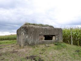 Ligne Maginot - BIRLENBACH SUD 1 - (Blockhaus pour canon) - 