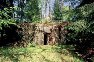 Ligne Maginot - GRAFENWEIHER NORD OUEST - (Casemate d'infanterie - double) - 