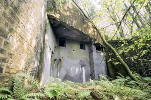 Ligne Maginot - HOCHWALD C3 ( Casemate d'infanterie ) - La chambre de tir basse
