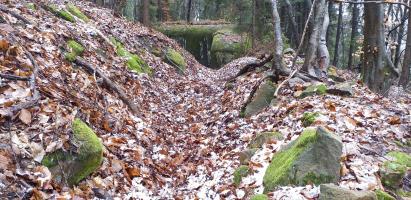 Ligne Maginot - HOCHWALD HAUT AVANT - BLOC 20 - O7 - (Observatoire d'artillerie) - Tranchée vers l'observatoire