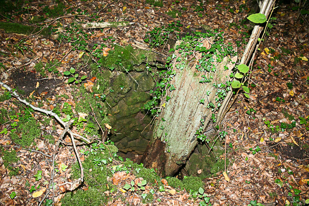 Ligne Maginot - BILLIG - A18 - (Ouvrage d'artillerie) - Bloc 6
Puits emmuré à proximité du bloc aves les restes d'un tronc d'arbre (identique en plus petit de ceux qu'on trouve à proximité de l'EM de Molvange)