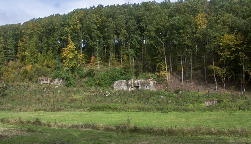 Ligne Maginot - FROHMUHL (PC DU QUARTIER KAPELLENHOF - II/153° RIF) - (Abri) - Vue depuis la route.
Noter l'abri MOM situé en contrebas à droite de la photo