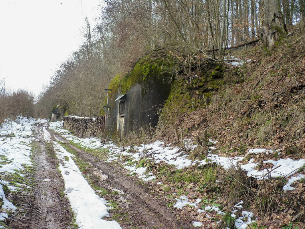 Ligne Maginot - FROHMUHL (PC DU QUARTIER KAPELLENHOF - II/153° RIF) - (Abri) - 