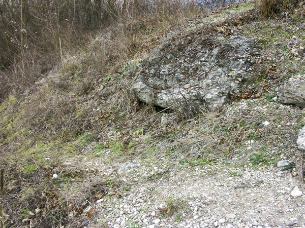 Ligne Maginot - Casemate du Bassin aux Pétroles - Restes de béton apparents