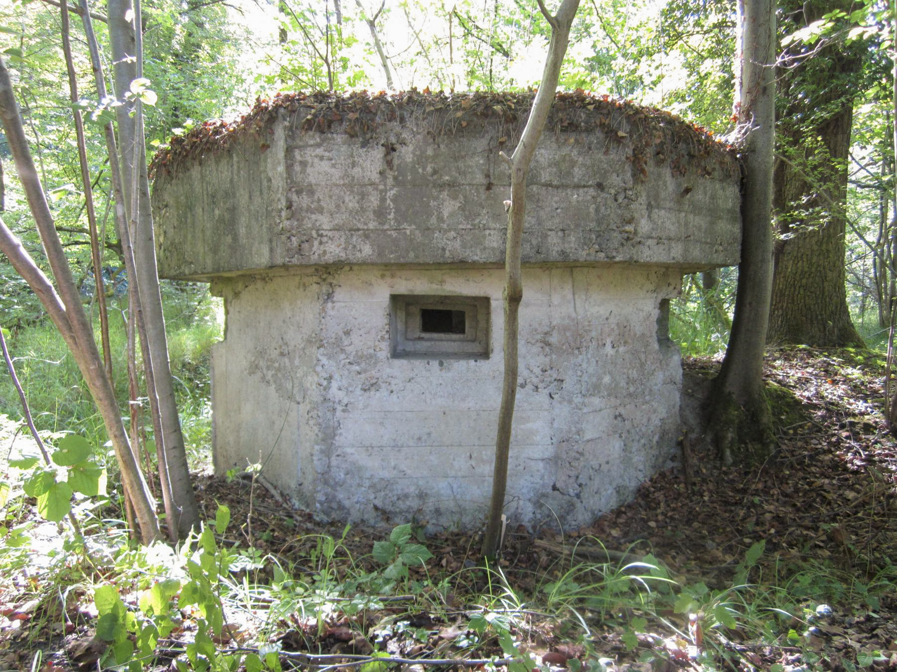 Ligne Maginot - BLAUELSANDKOEPFEL - (Blockhaus pour arme infanterie) - Créneau frontal