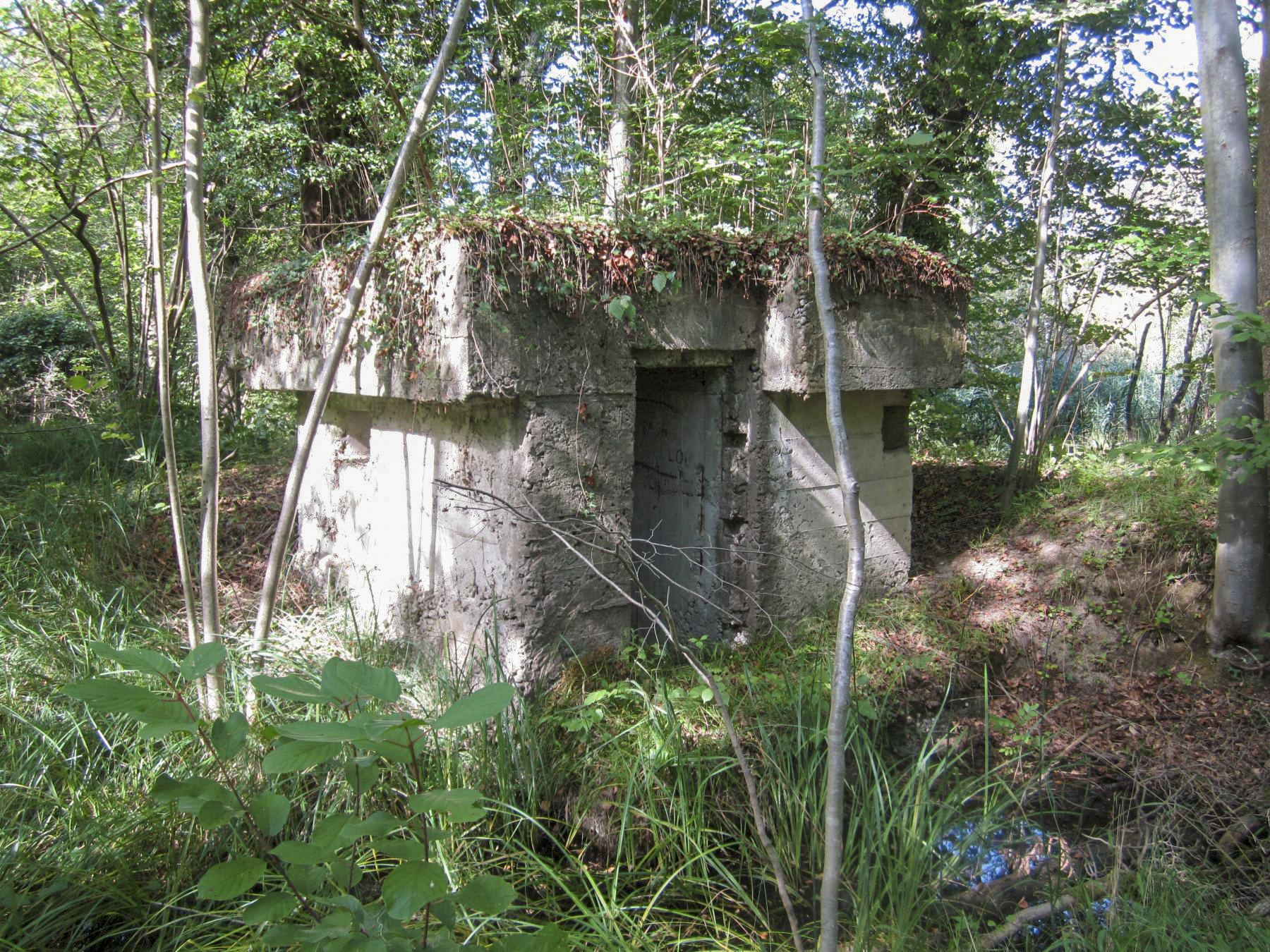 Ligne Maginot - BLAUELSANDKOEPFEL - (Blockhaus pour arme infanterie) - Créneau arrière, entrée et créneau latéral droit
