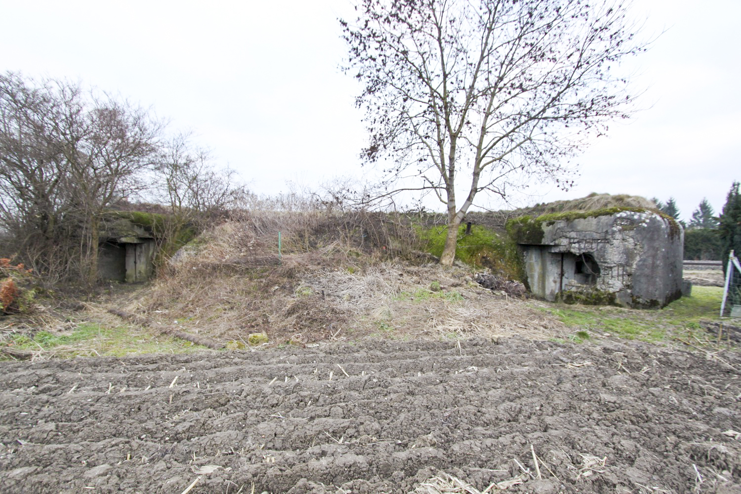 Ligne Maginot - PONT DE GAMBSHEIM - (2CEO -10CEC - 70° RIF) - (PC de Quartier) - 