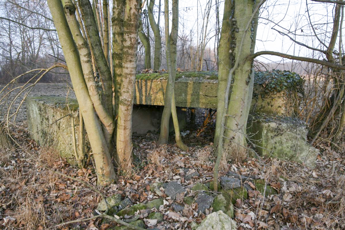 Ligne Maginot - Blockhaus  du GROSSBELTZWOERTH Est - Vue arrière