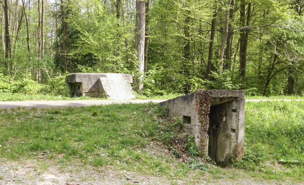 Ligne Maginot - HAUTE DIGUE 4 - (Blockhaus pour arme infanterie) - 