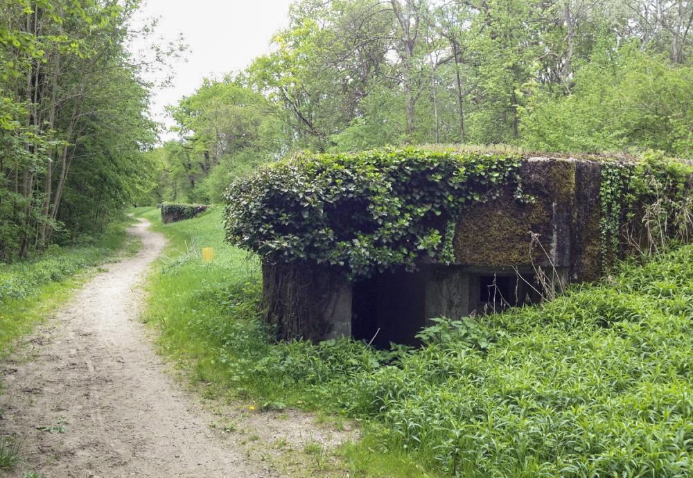 Ligne Maginot - HAUTE DIGUE 8 - (Blockhaus pour arme infanterie) - L'entrée est visible sur la photo avec le créneau sud.
L'entrée du bloc 9 est visible à l'arrière plan