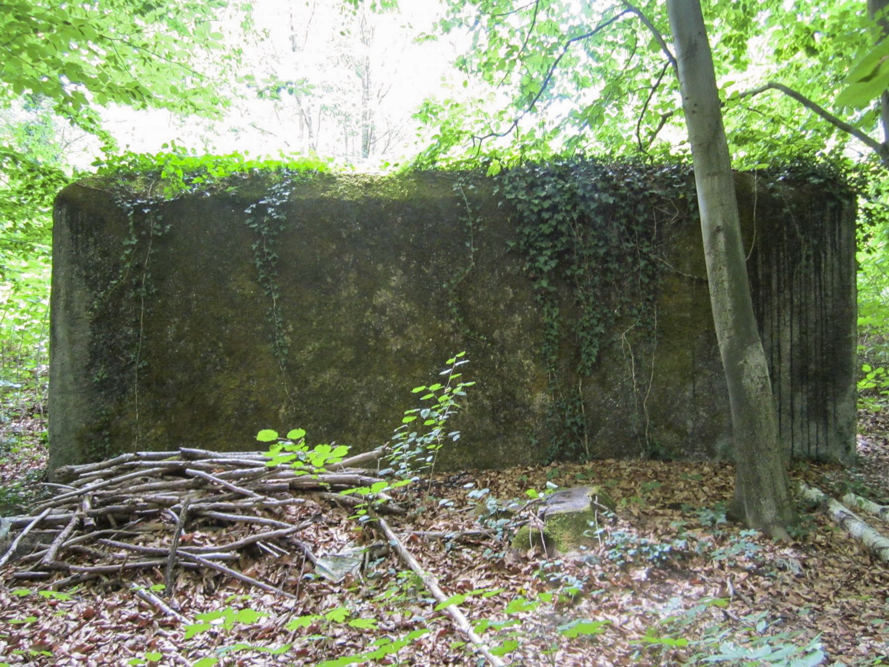 Ligne Maginot - HAUTE DIGUE 7 - (Blockhaus pour arme infanterie) - Façade frontale
