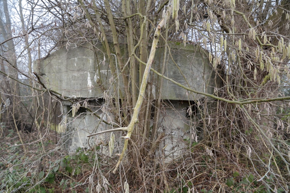 Ligne Maginot - KUEHNAU 1 - (Blockhaus pour arme infanterie) - 