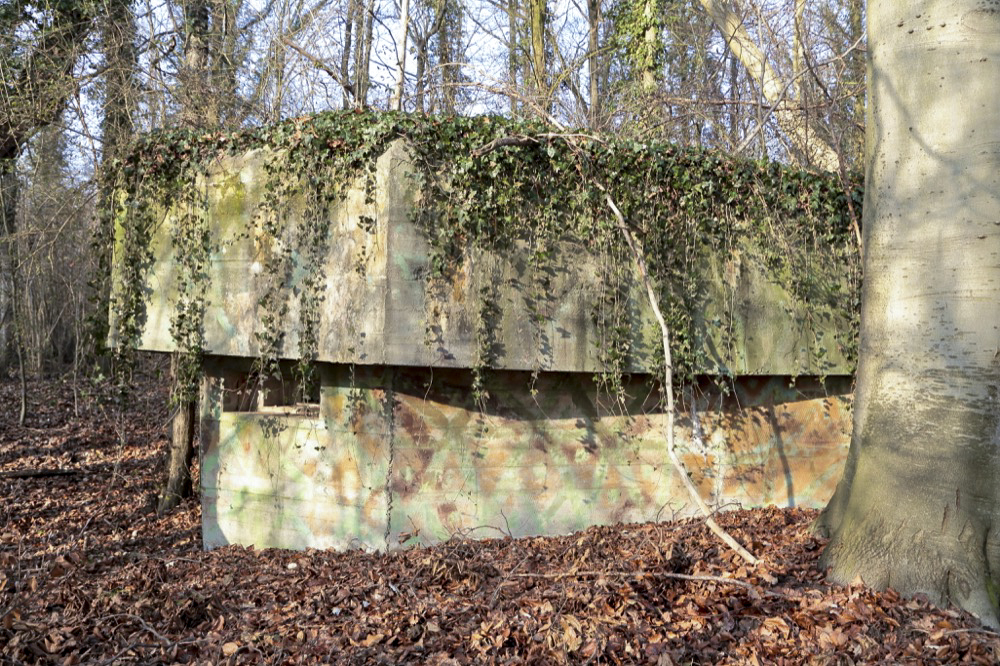 Ligne Maginot - KUEHNENSAND NORD - (Blockhaus pour arme infanterie) - 