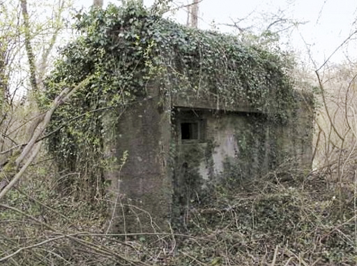 Ligne Maginot - 1 - OBERGRUND Sud - (Blockhaus pour arme infanterie) - 