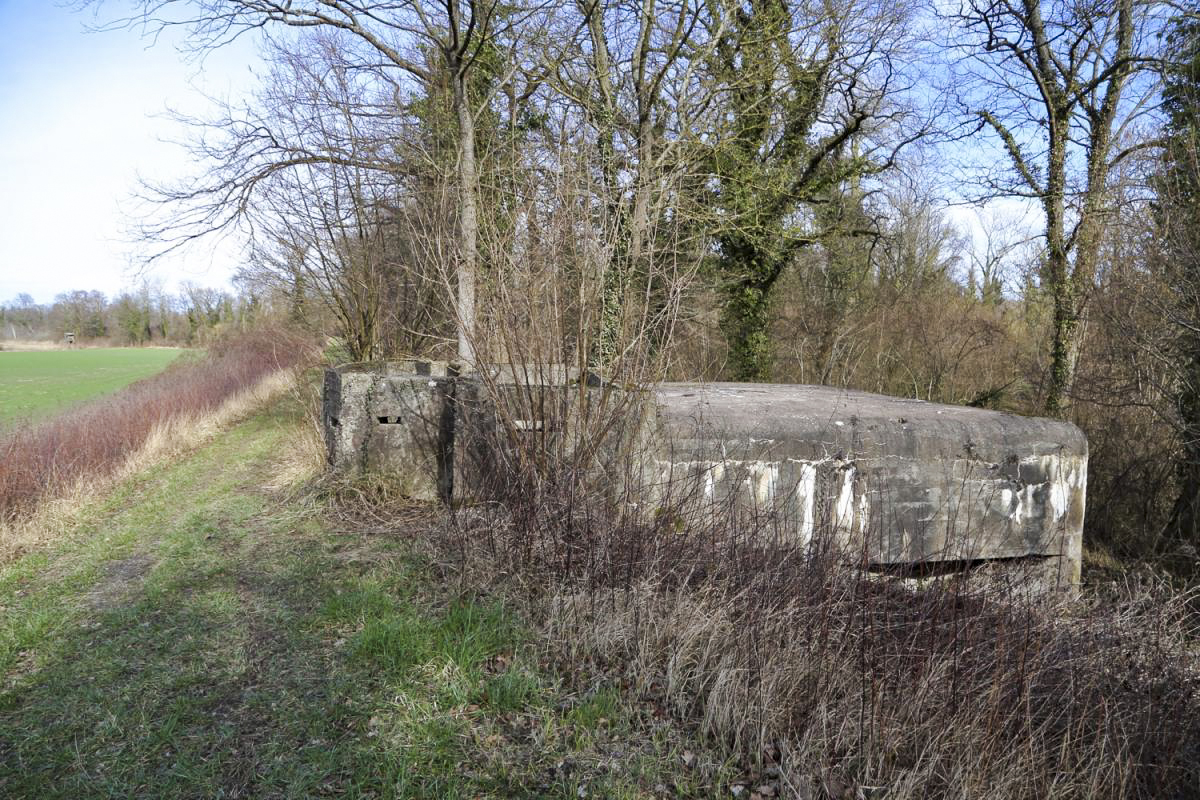 Ligne Maginot - BREITSAND 4 - (Blockhaus pour arme infanterie) - Vue d'ensemble