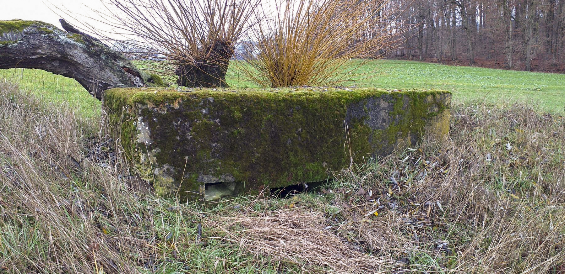 Ligne Maginot - KINZELBACH OUEST 1 - (Blockhaus pour arme infanterie) - Créneaux mitrailleuse et observatoire