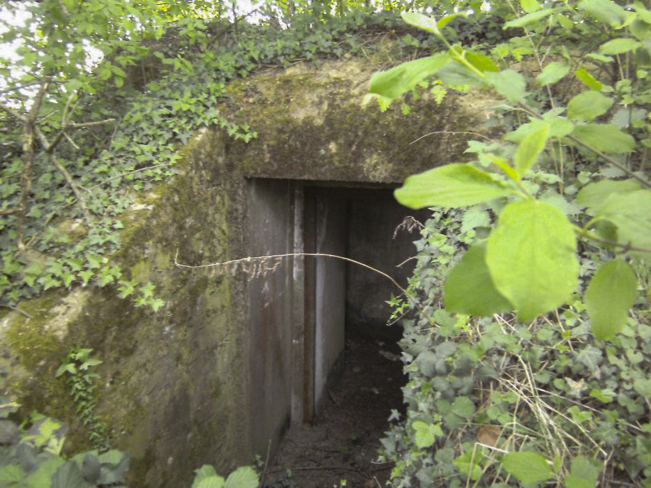 Ligne Maginot - BIRLENBACH SUD 2 - (Blockhaus pour arme infanterie) - 
