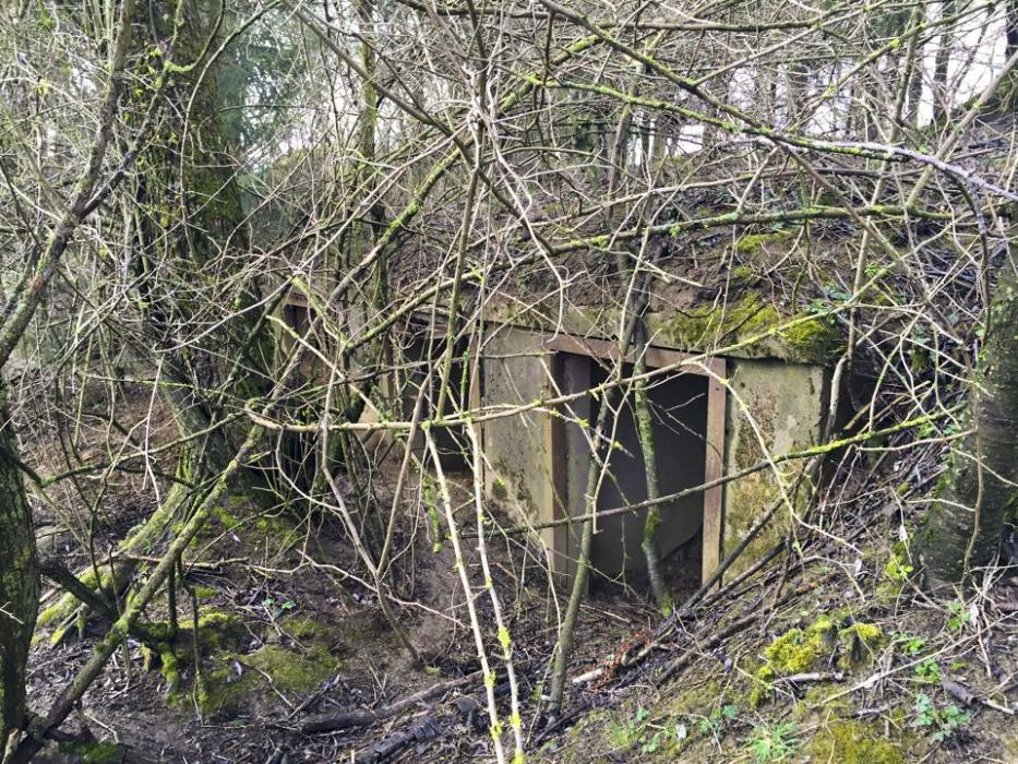 Ligne Maginot - Casemate de BREITENACKER Nord - Les niches extérieures pour les mines et barbelés