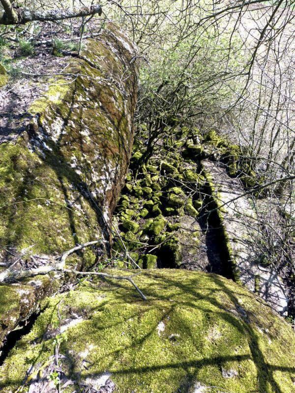 Ligne Maginot - Casemate de BREITENACKER Nord - 