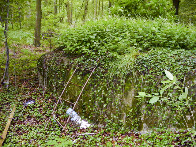 Ligne Maginot - 2 - (Chambre de coupure) - Envahie par la végétation mais visible
2005
