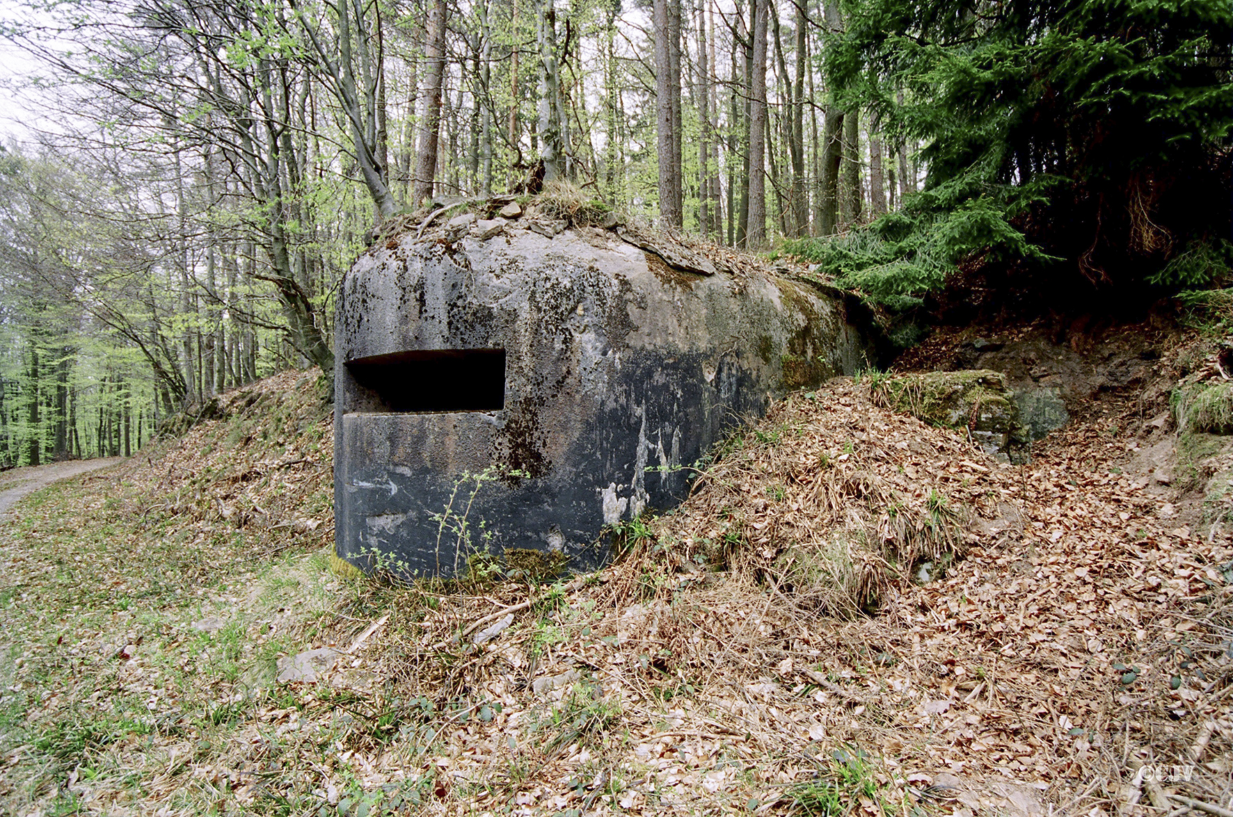 Ligne Maginot - LANGENBERG Bas ( Observatoire d'artillerie ) - 