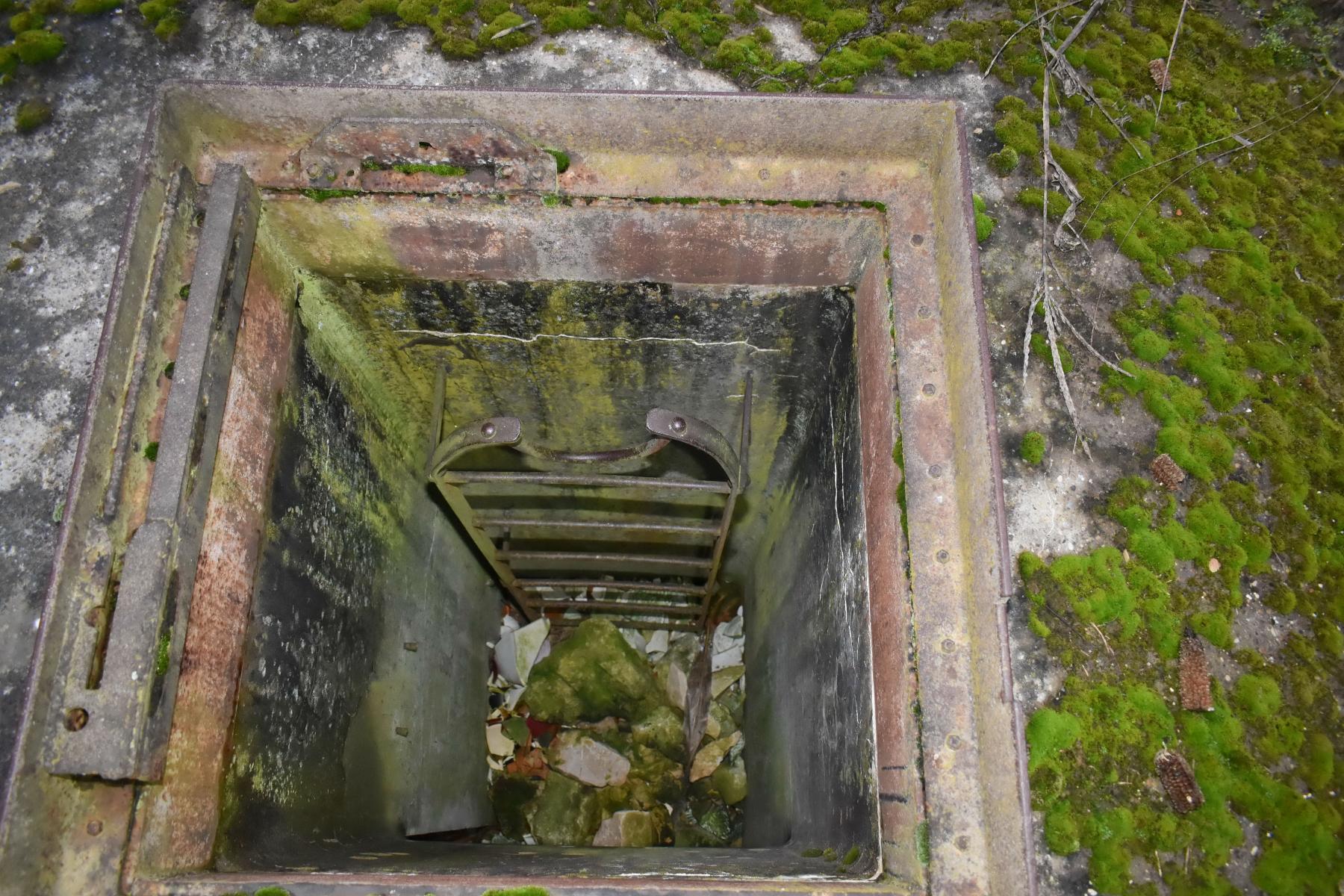 Ligne Maginot - 9 - (Chambre de coupure) - l'entrée en puits, avec une échelle 'artistique'
