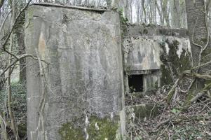 Ligne Maginot - DB346 - GRAND BOIS SUD - (Blockhaus pour arme infanterie) - 