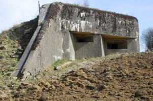 Ligne Maginot - MB121 - (Blockhaus pour canon) - Blockhaus en plein champ, forêt à proximité. Vue rapprochée