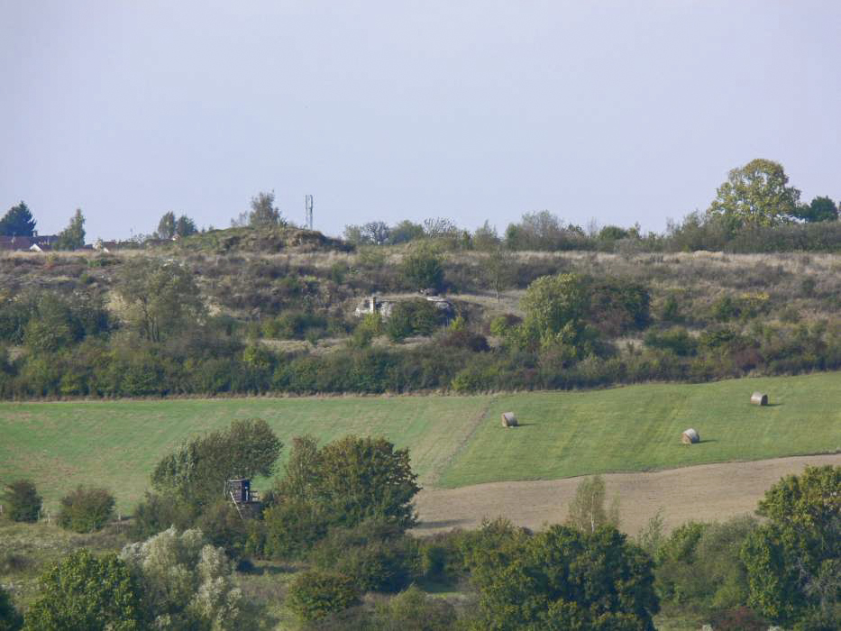 Ligne Maginot - PETIT REDERCHING - (Abri) - L'abri  de Petit Réderching vu depuis Heiligenbronn
