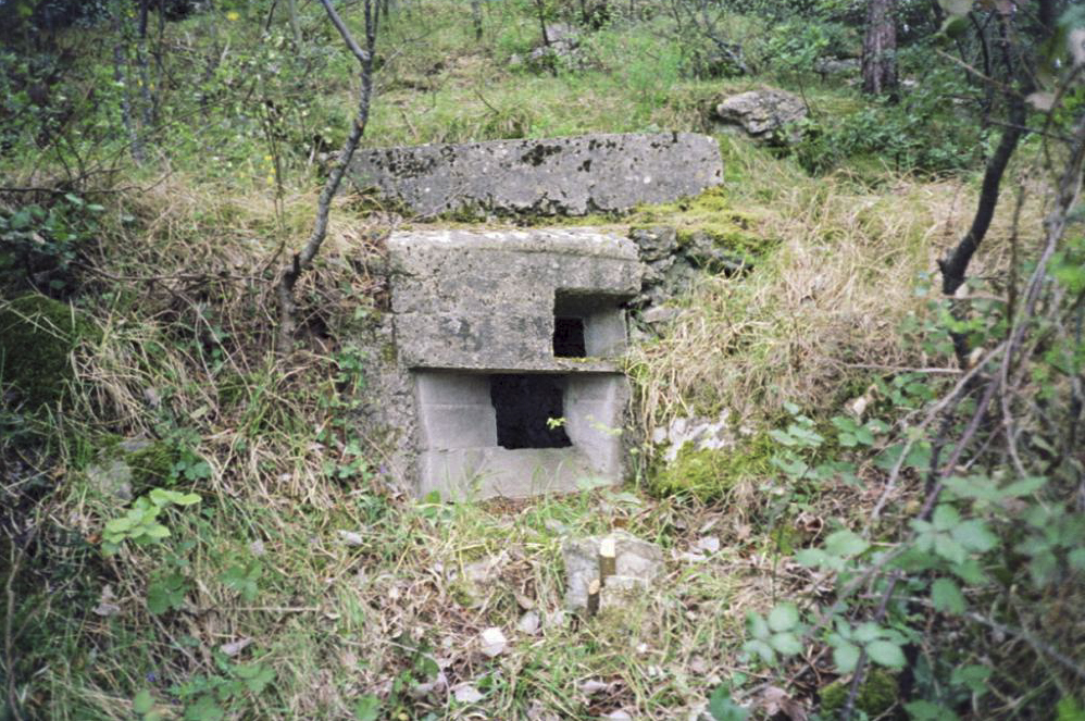 Ligne Maginot - COTE 902 Centre (Blockhaus pour arme infanterie) - 