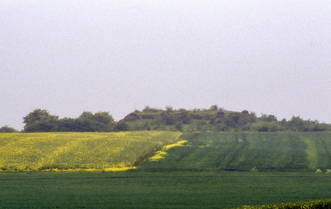 Ligne Maginot - BOIS DU FOUR - A5 - (Ouvrage d'infanterie) - Le P.O. en 1991, vu depuis la N52