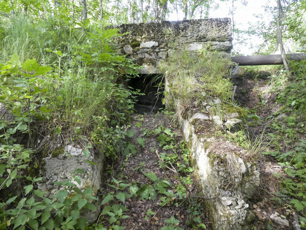 Ligne Maginot - AMODON 1 - (Blockhaus pour arme infanterie) - L'accès protégé à l'entrée