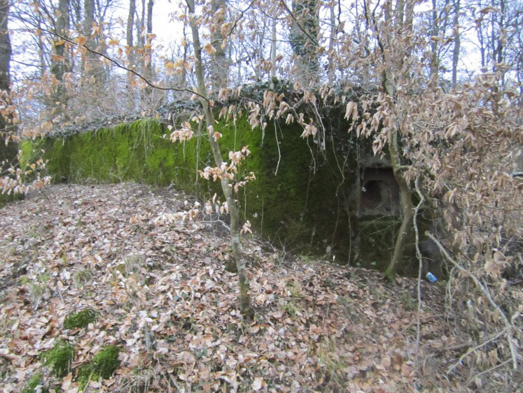 Ligne Maginot - SANDMUEHLE NORD - (Blockhaus pour arme infanterie) - 
