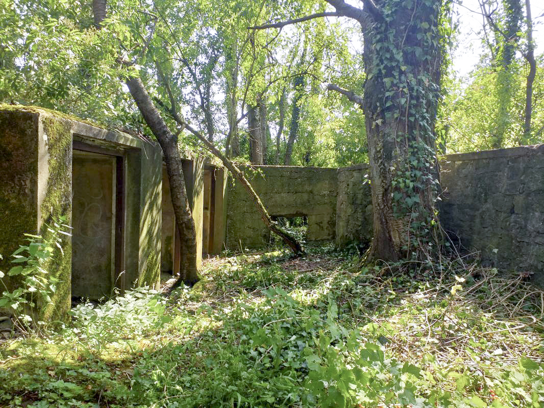 Ligne Maginot - BOIS DE HOFFEN OUEST - (Casemate d'infanterie) - Mur de soutènement devant les niches de stockage extérieurs