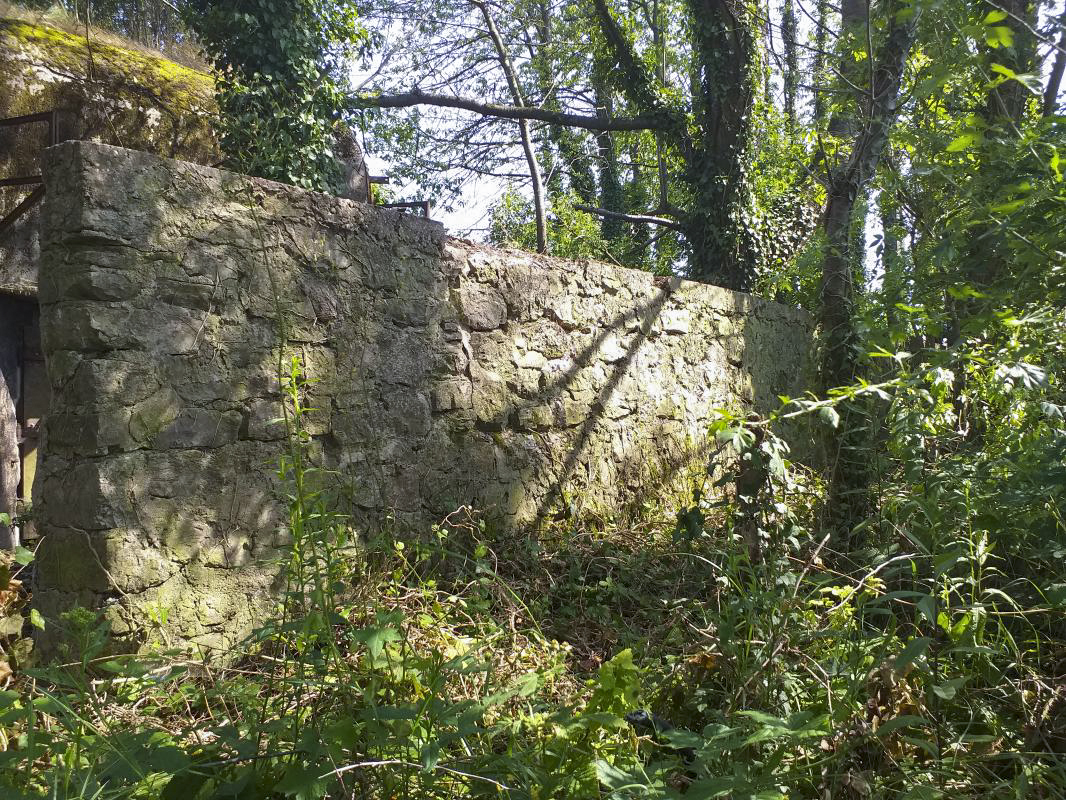 Ligne Maginot - BOIS DE HOFFEN OUEST - (Casemate d'infanterie) - Mur de soutènement devant l'entrée