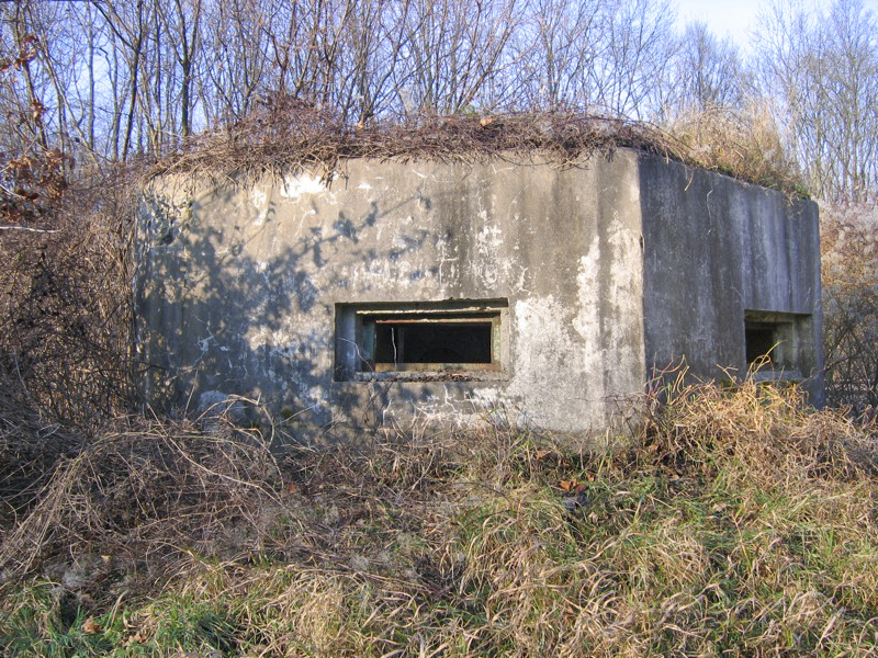 Ligne Maginot - EICHELFELD 1 - (Blockhaus pour arme infanterie) - Vue générale extérieure
