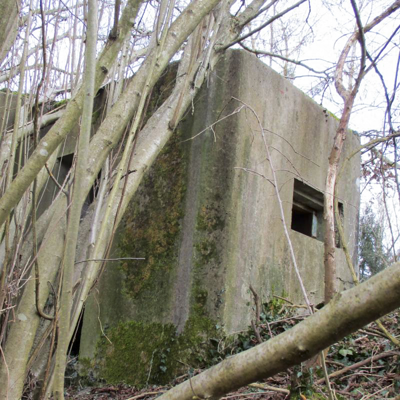 Ligne Maginot - EICHELFELD 1 - (Blockhaus pour arme infanterie) - 