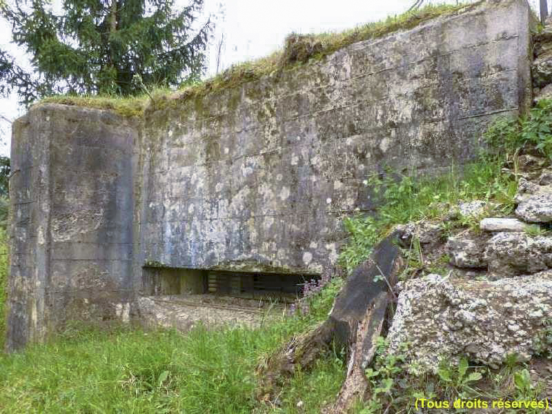 Ligne Maginot - F57 - LES TAVERNETTES - HS113 - (Blockhaus pour canon) - 