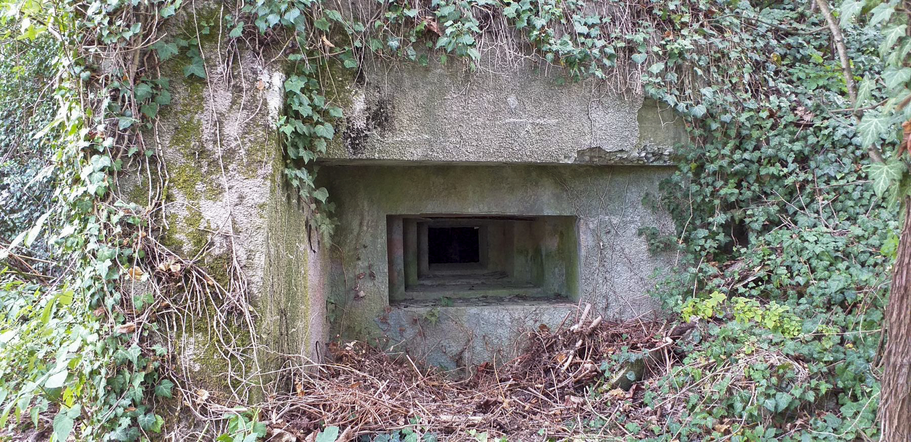 Ligne Maginot - OBSERVATOIRE EST DES CERISIERS - (Blockhaus pour arme infanterie) - Créneau Nord-Est