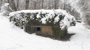 Ligne Maginot - HAUTE DIGUE 8 - (Blockhaus pour arme infanterie) - Créneau mitrailleuse nord