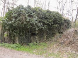 Ligne Maginot - BOIS DE RITTERSHOFFEN 5 - (Casemate d'infanterie) - Façade chambre de tir